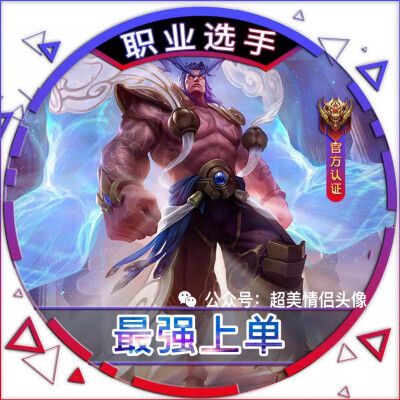 王者荣耀高清职业头像