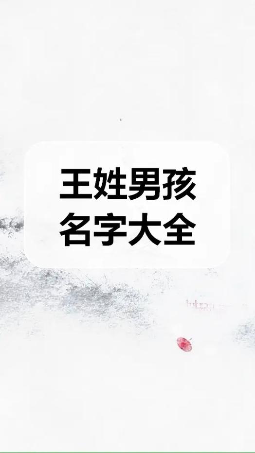 王姓男孩起名化100分