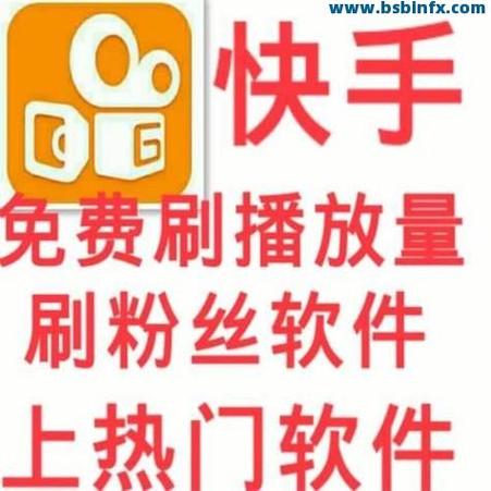 快手播放量网页版