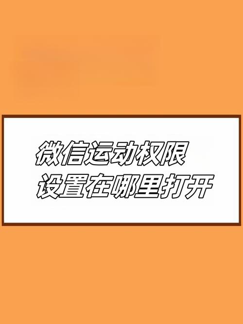 运动权限设置在哪里