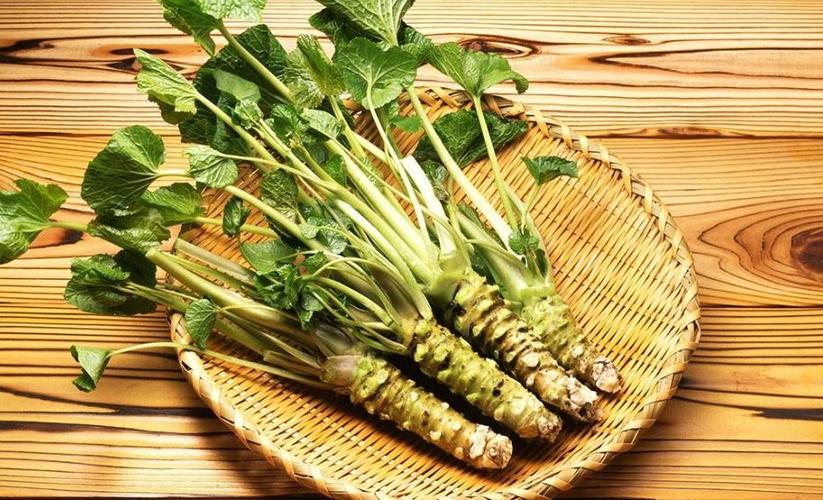 芥末图片植物图片图标