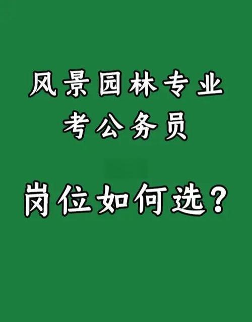 单证中心最吃香的岗位