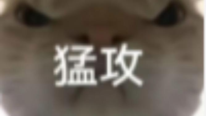 猛攻猫猫表情包游戏截图