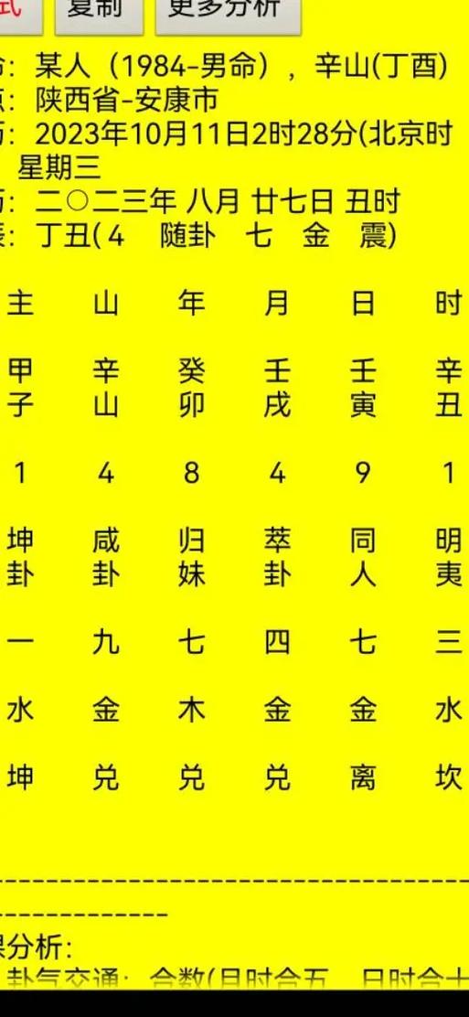 玄奥玄空择日2.1破解版截图