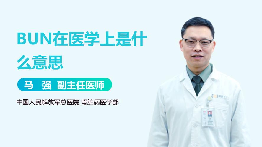医学bun是什么意思啊