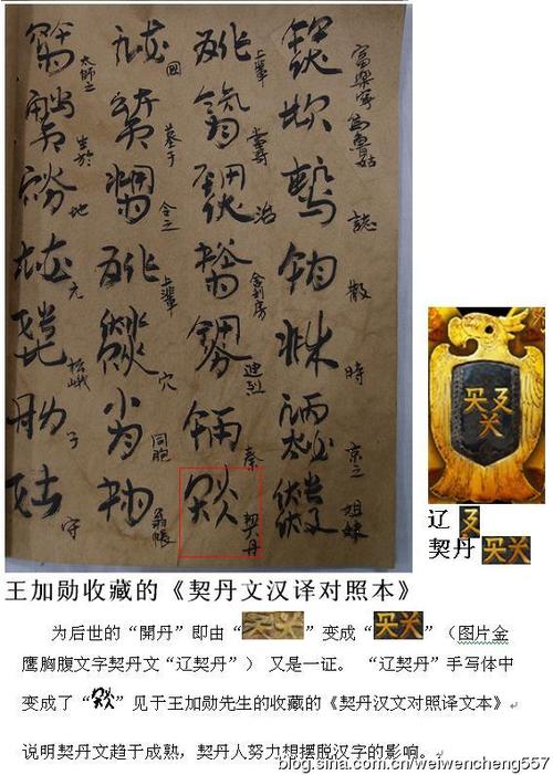 文的表意是什么