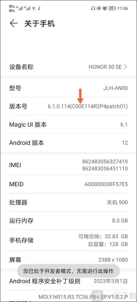 开发者模式下载