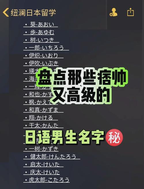蜡笔小新跑酷日语版图标