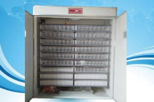 养殖场自动孵化器品牌出口