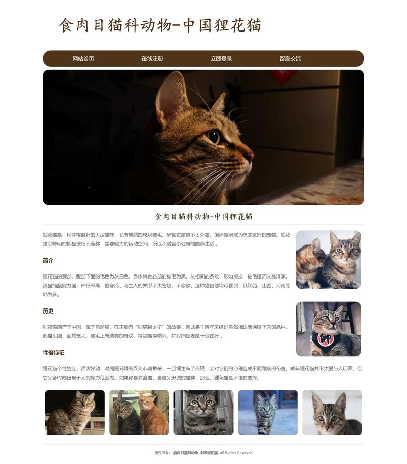 随喵聊天网页版图标