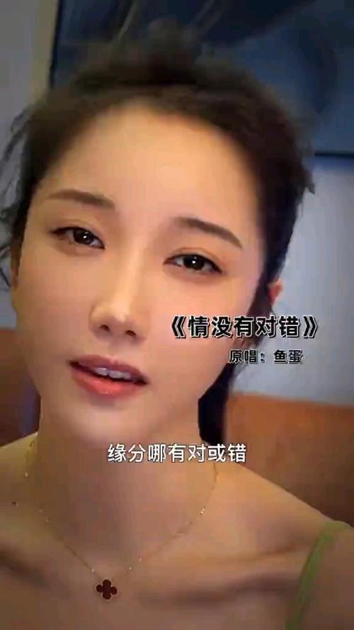 情没有对错男声版最火