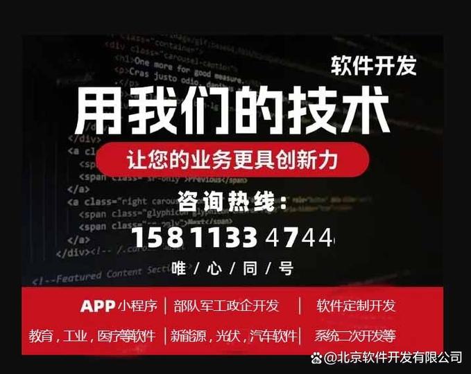 软件开发公司前十名截图