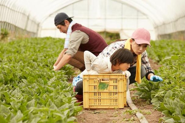 家庭农场游戏中文版