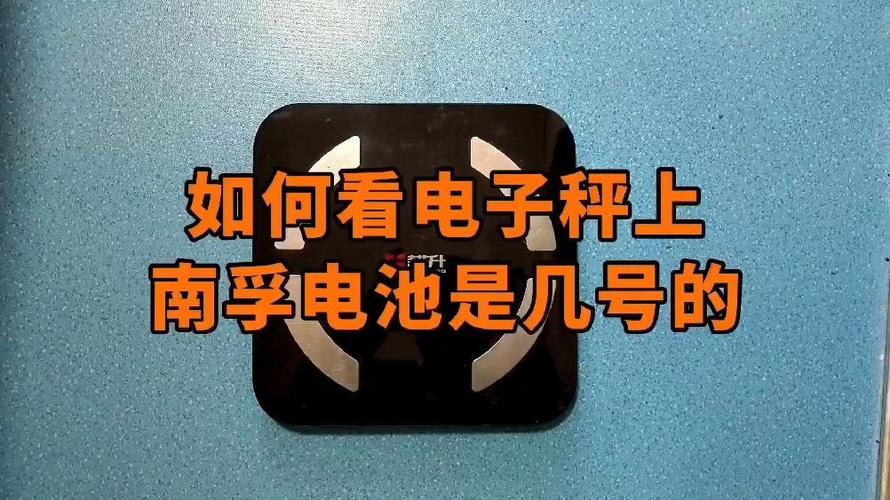 电子秤用几号电池