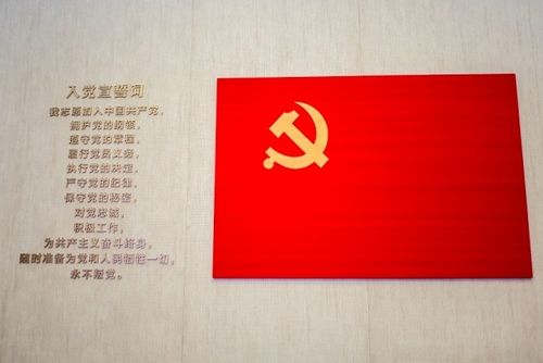 党旗1921-2021图片