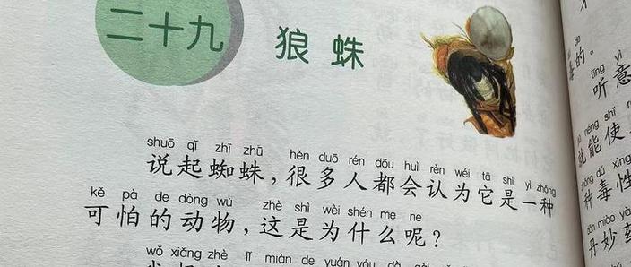 昆虫记狼蛛原文截图