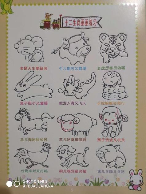 眼睛看不清的生肖游戏截图
