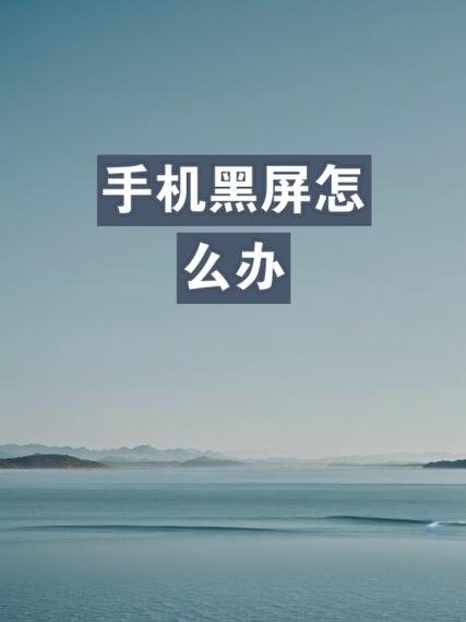 荣耀手机查看通话详情闪退