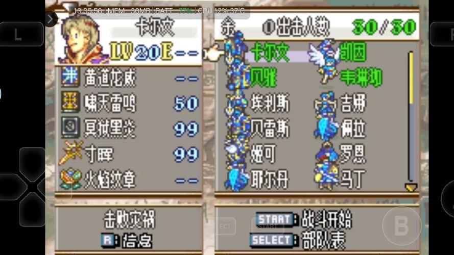 最终纹章攻略