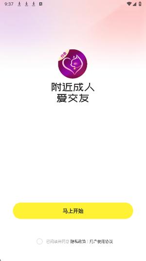 淘爱交友