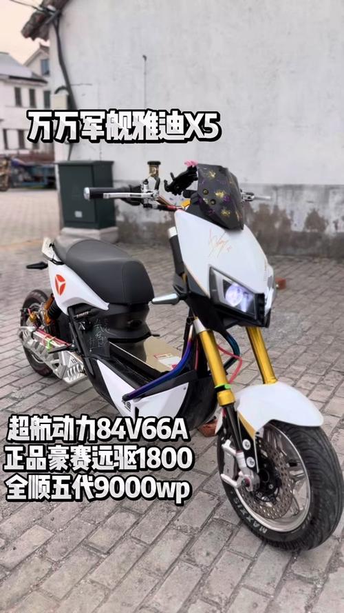 圣安地列斯雅迪x5模组