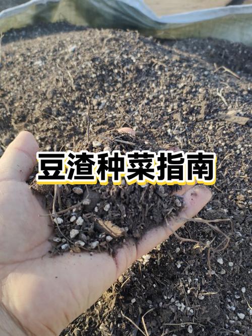 趣种菜软件可信吗