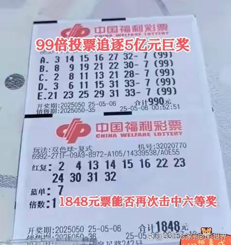 下期必中一注