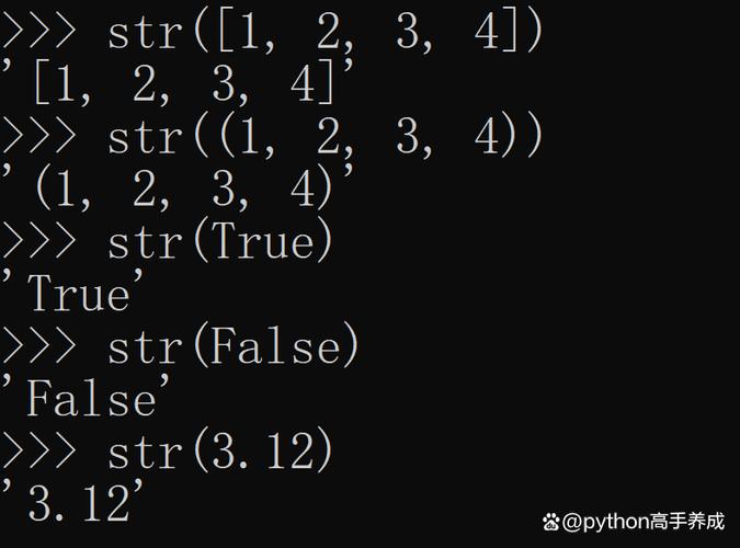str函数