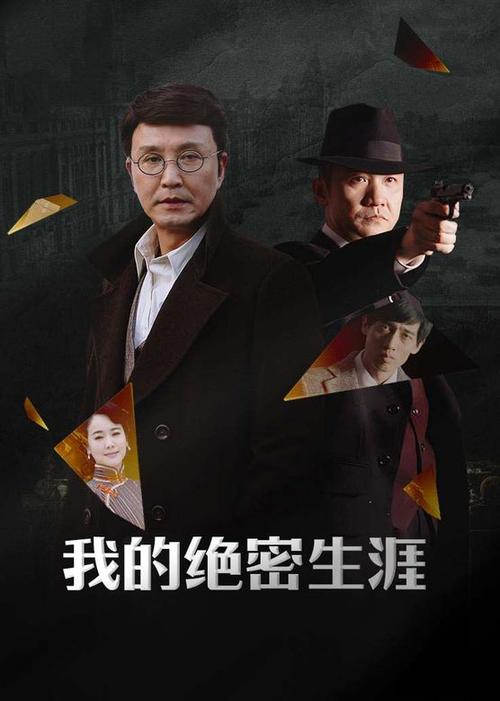 电视剧《我的绝密生涯》
