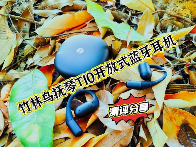 小鸟无线耳机怎么重新建立配对图标