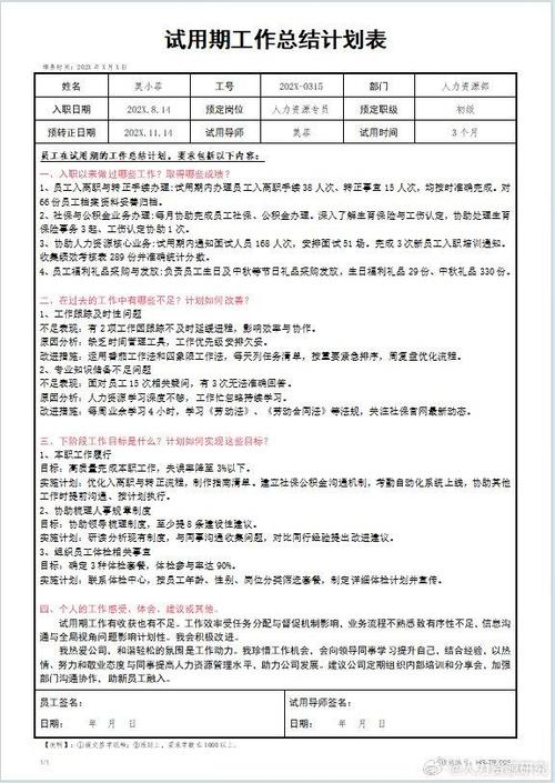 vs试用期过了怎么办