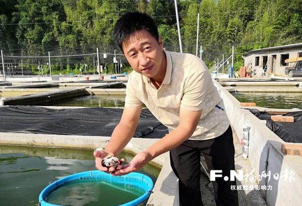 福州闽侯村金鱼养殖