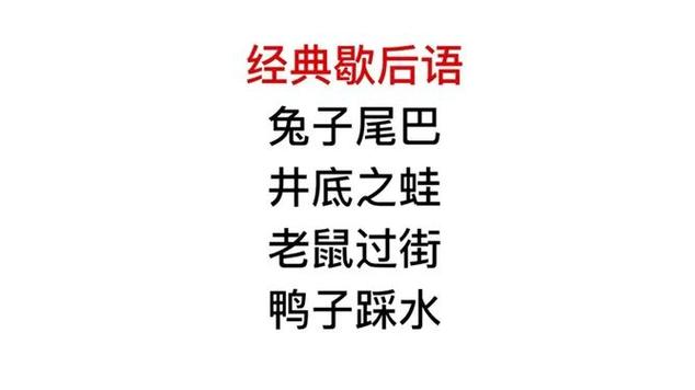 兔的歇后语