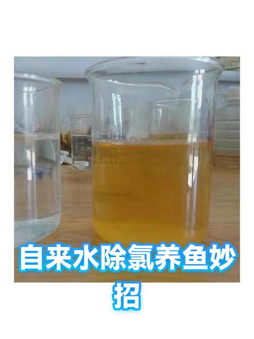 自来水如何快速除氯养鱼