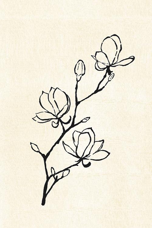 木兰花漫
