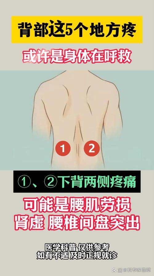 男士左后背疼什么原因