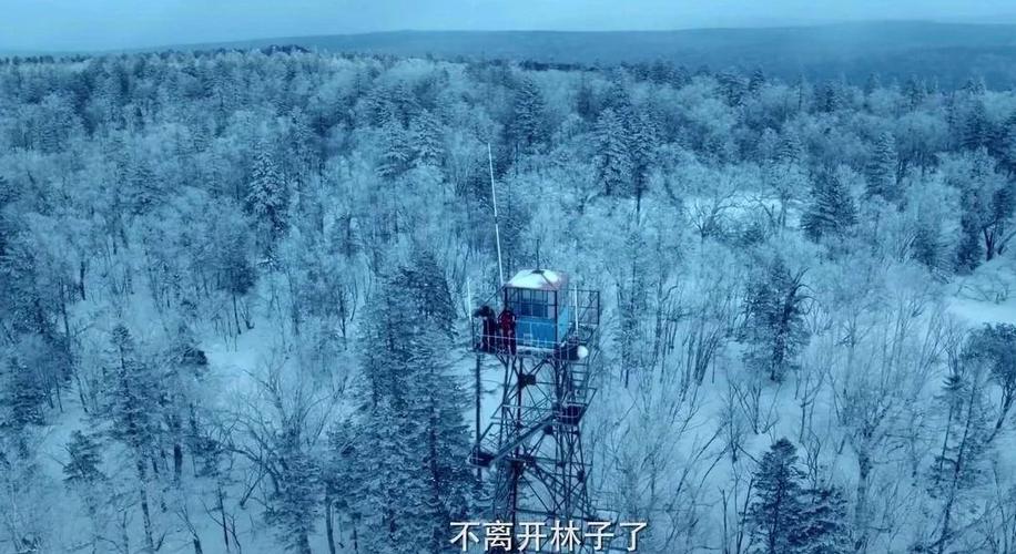 双探百度百科图标