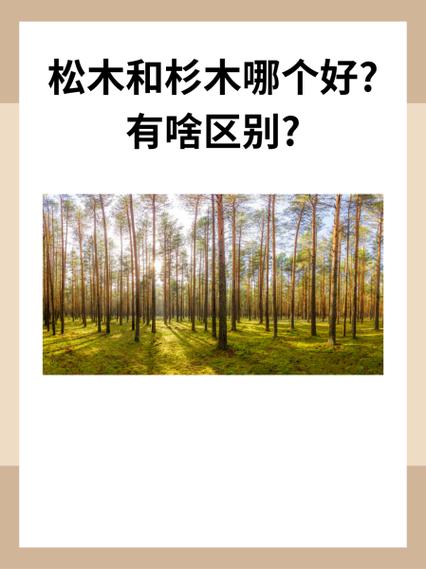 杉木的气味对身体有害吗截图