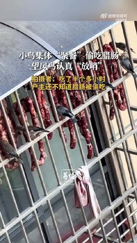 香肠晒时被鸟吃了有毒吗