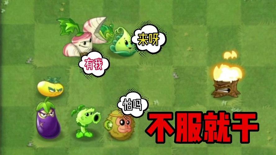 火鸡投手vs猕猴桃