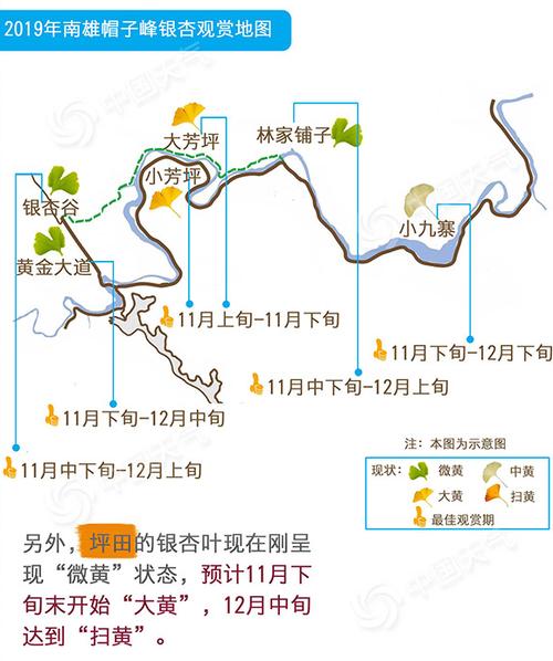南雄银杏自驾游攻略