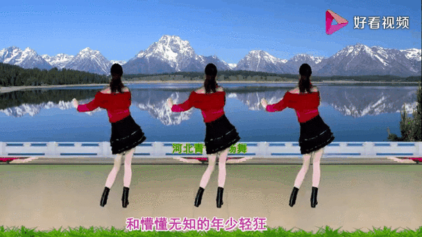 广场舞16步四个方向转游戏截图