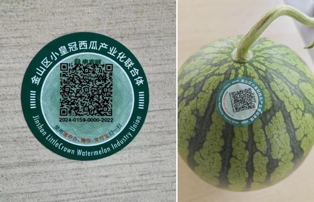 小西瓜推荐码