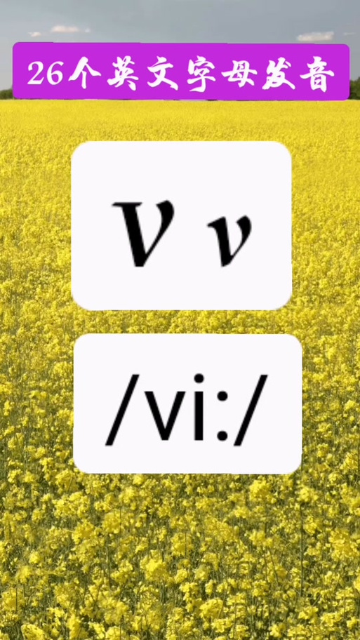 兽医的英语怎么念