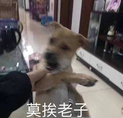 莫挨老子安卓版截图