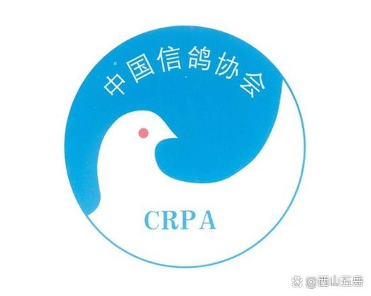 各地赛鸽协会官网