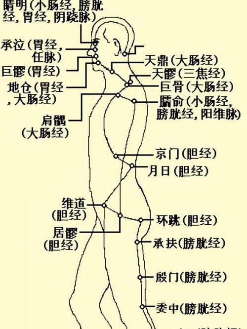 阳跷脉的循行路线