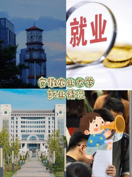 安徽毕业生补贴政策截图