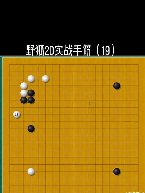 野狐三段实战对局