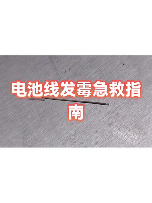 电池发霉了有毒吗